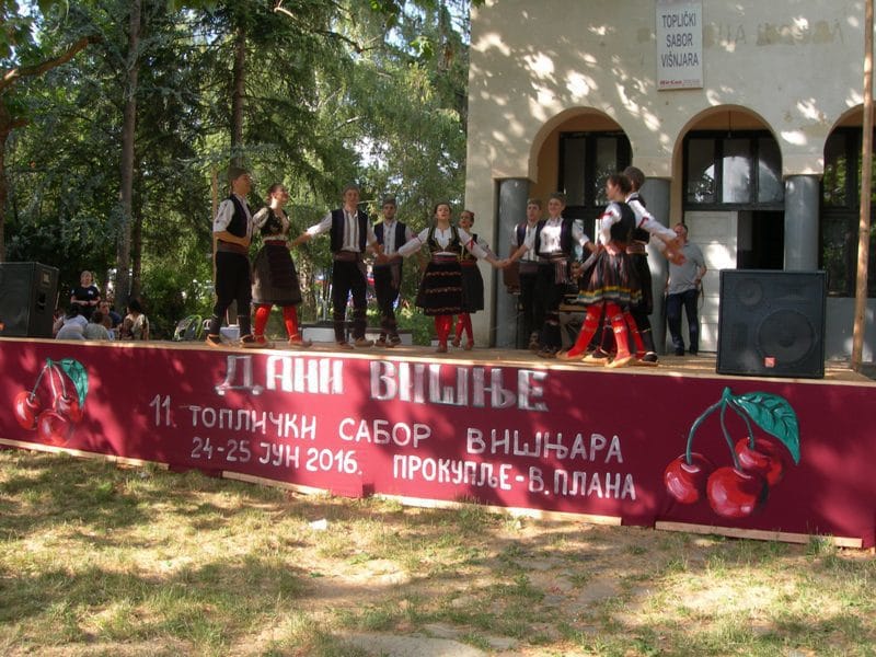 Dani visnje foto Ljubisa Mitic