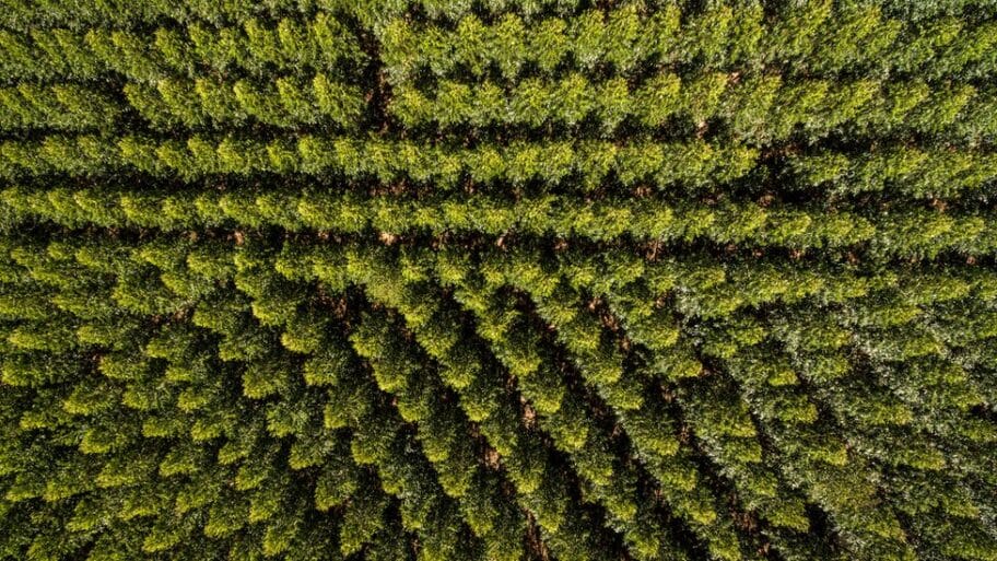 107748777 gettyimages 697410374