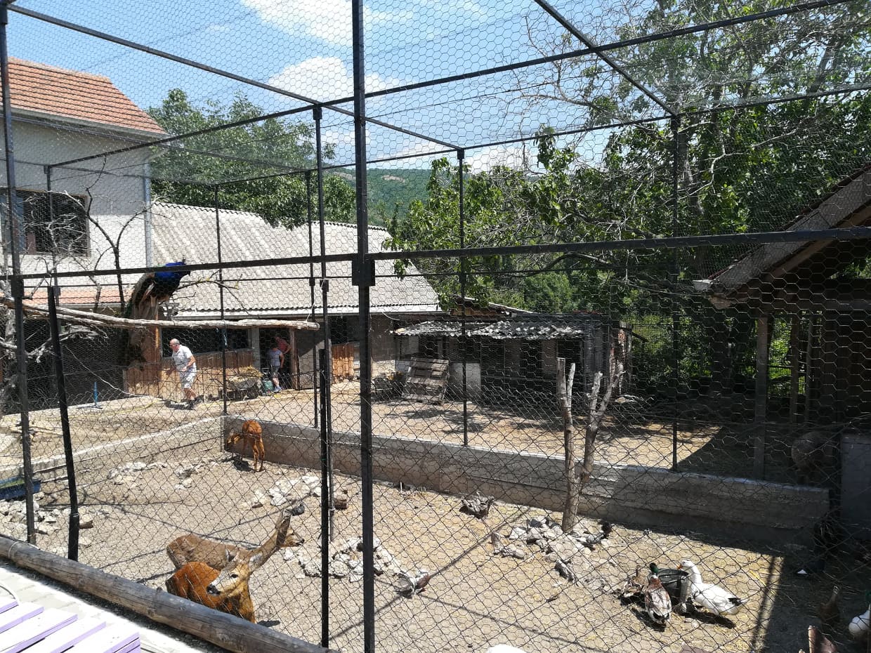 65878754-909435259400613-2493829553051402240-n