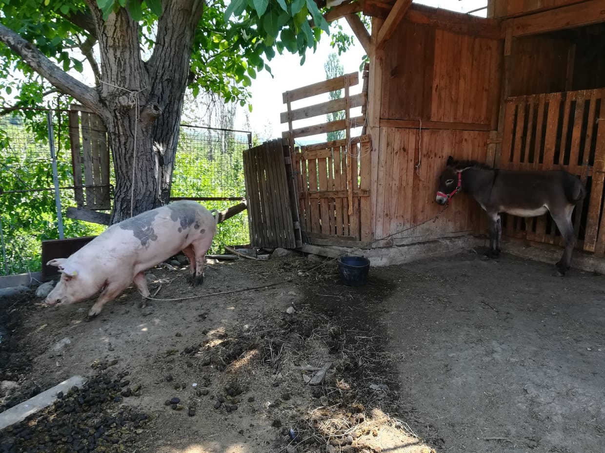 65885953-2094564547339851-4309260775362396160-n