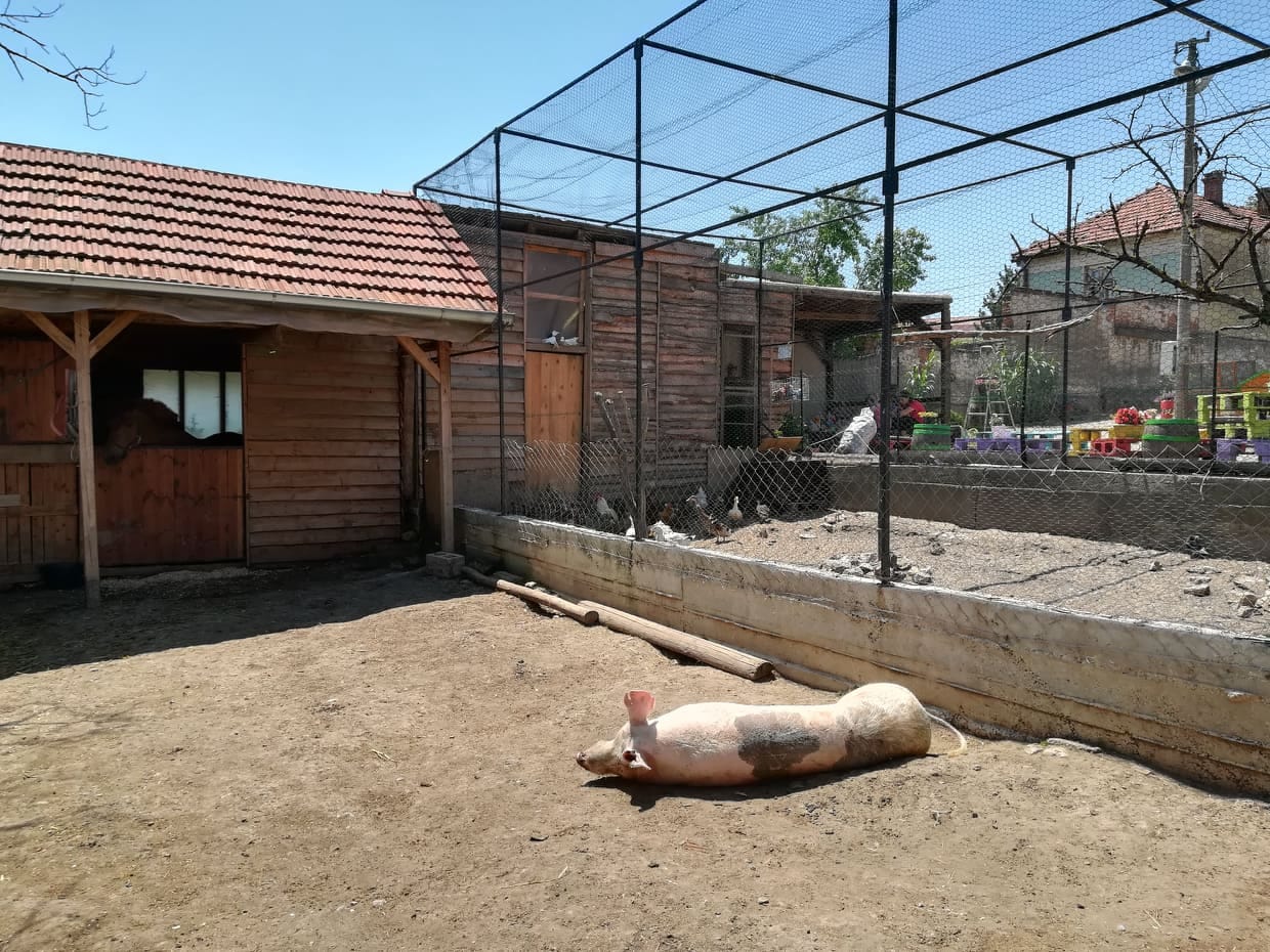 66155894-2006293456143937-7486429155739828224-n