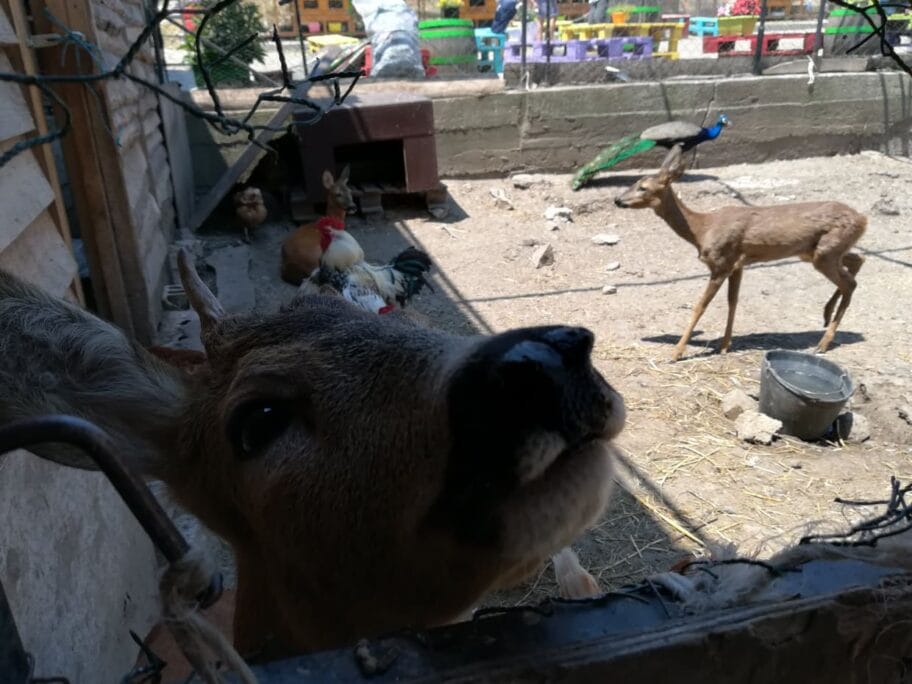 66114539 453717705427753 7403648007616331776 n