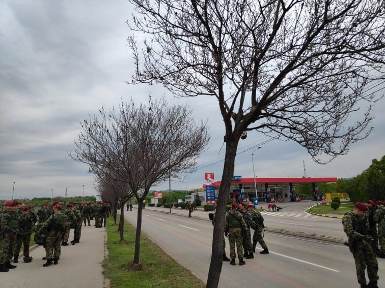 Drvece napad gusenica V M R