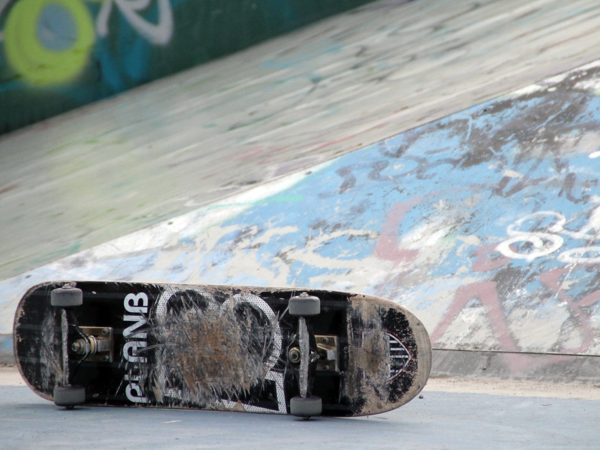 Skejt Flickr Forever free