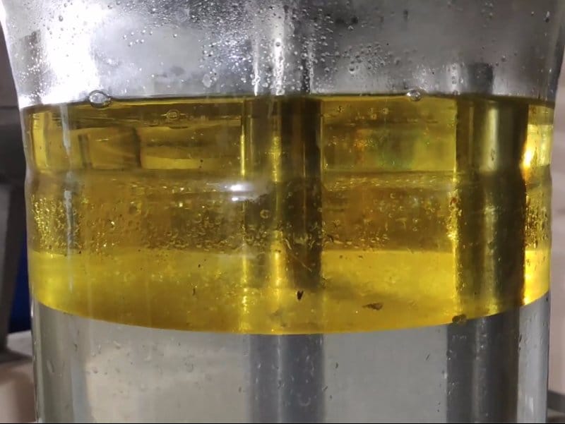 Ulje lavande Foto V M R