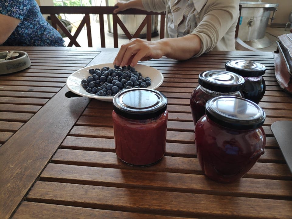 Dzemovi i borovnice Foto V M R