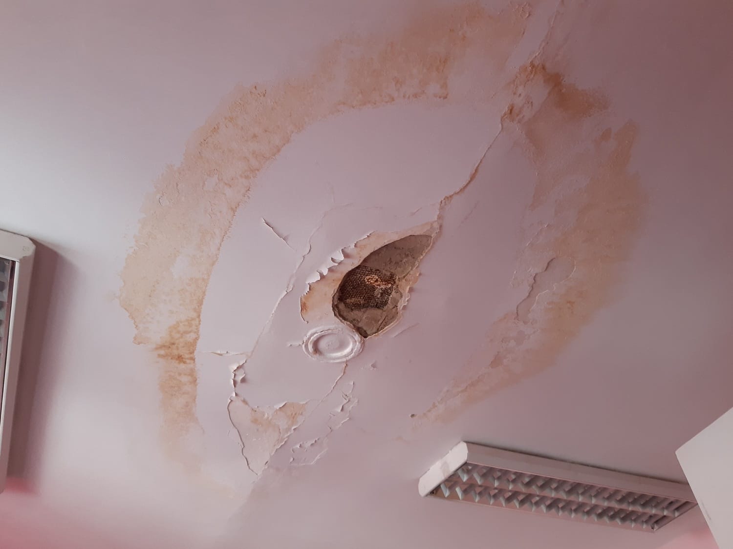 Vrtic Bambi Leskovac plafon foto Bojana Antic