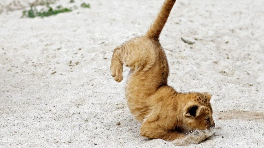 U fotografijama: Događaji koji su obeležili sedmicu za nama 20 107877572 bf622b43 733a 4fc8 a740 5547ca95a757