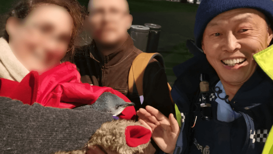 Kad pingvini svrate na porciju sušija 7 107883211 penguin