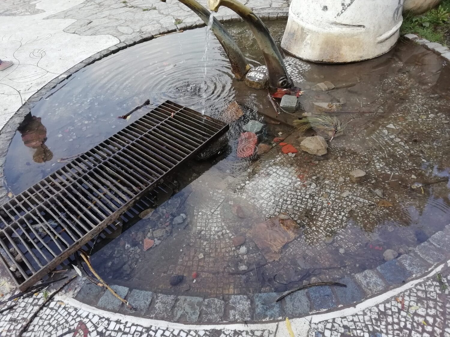 cesma puz bara foto tr scaled