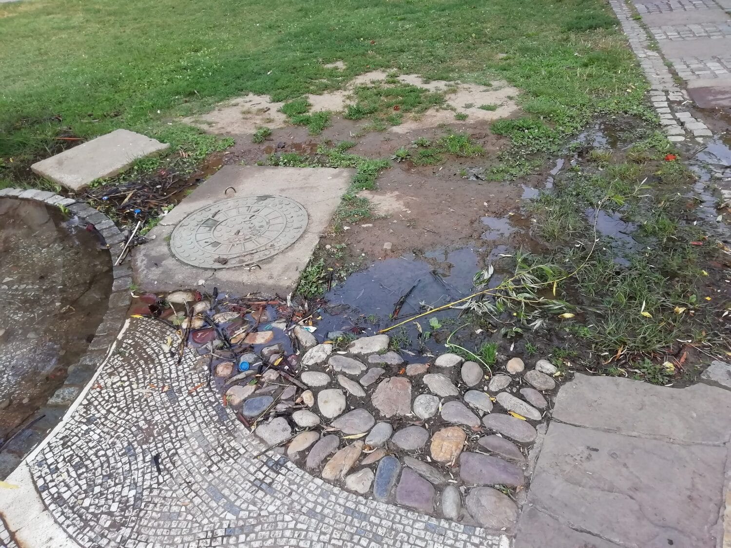 cesma puz2 bara foto tr scaled