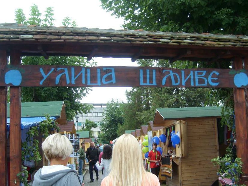 dani sljive foto ljm