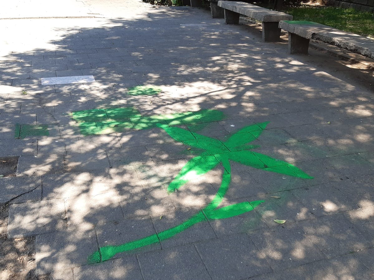 Cvetnovi Leksovac foto Bojana Antic