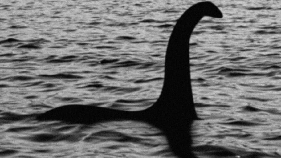 107971293 nessie