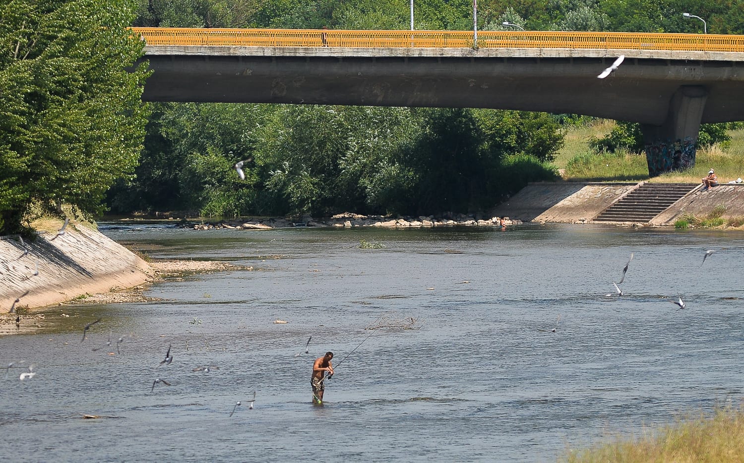 Kupači Nišava jul 2019 4 foto Južne vesti Vanja Keser