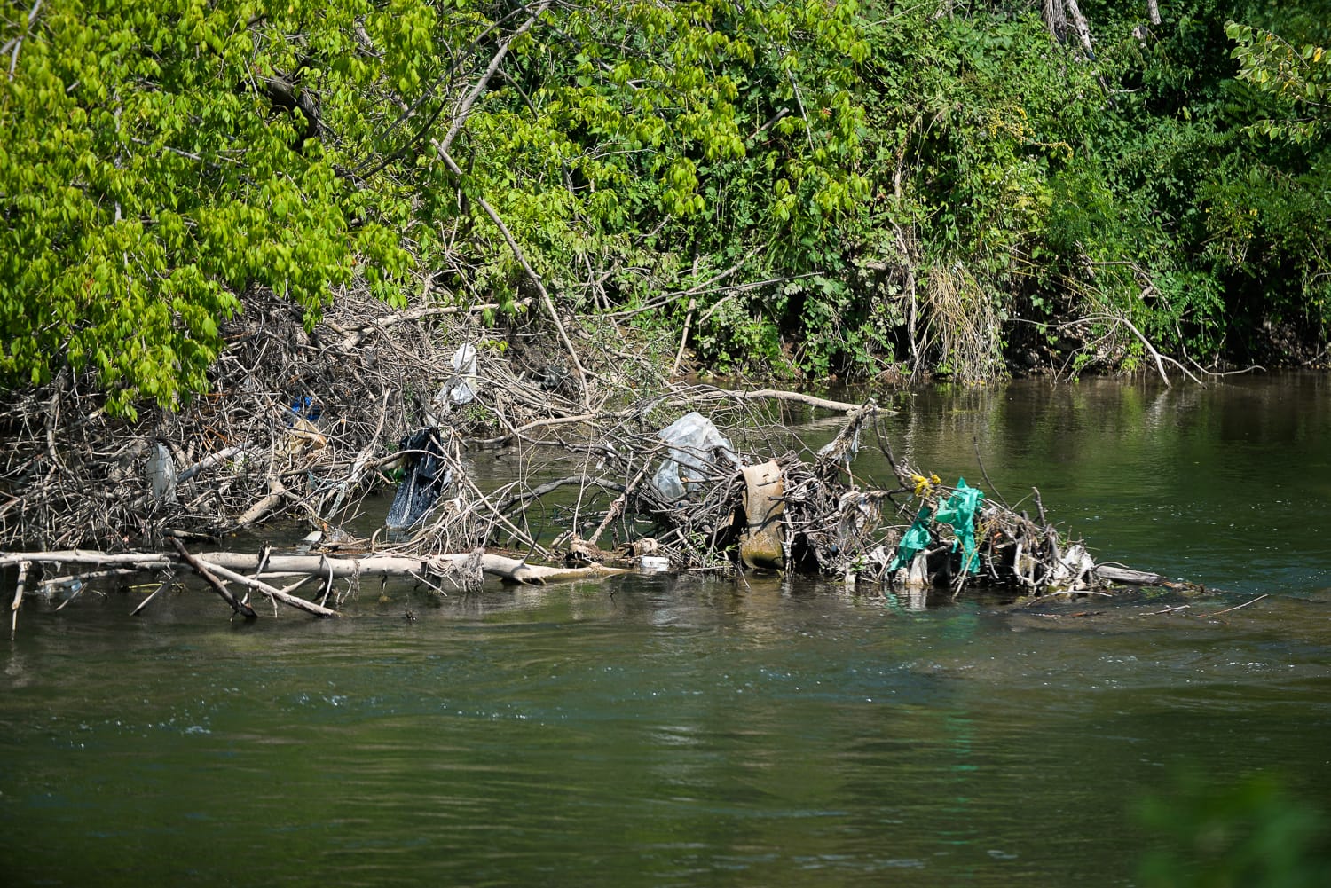 Kupači Nišava jul 2019 13 foto Južne vesti Vanja Keser