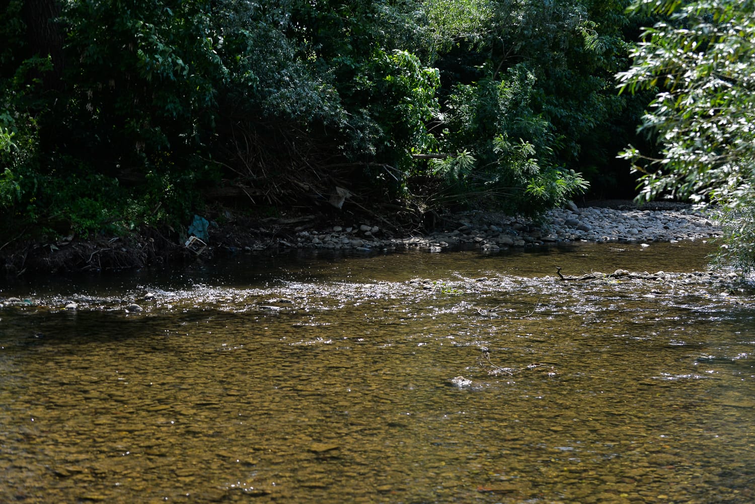 Kupači Nišava jul 2019 15 foto Južne vesti Vanja Keser