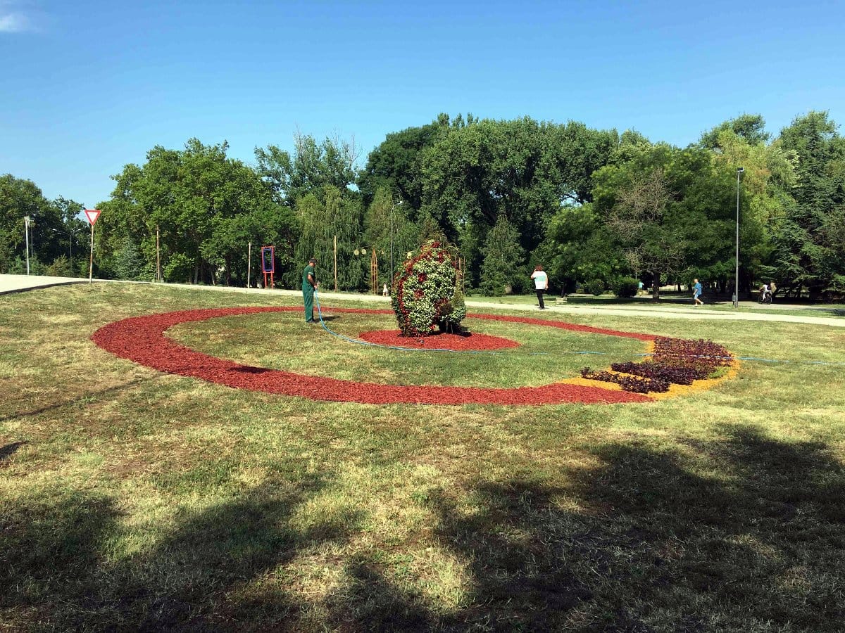 Radnik Mediane zaliva pauna1 foto citalac
