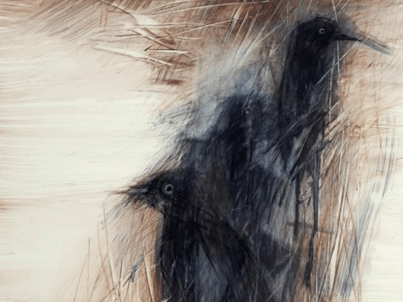 kos izlozba foto palanskiart