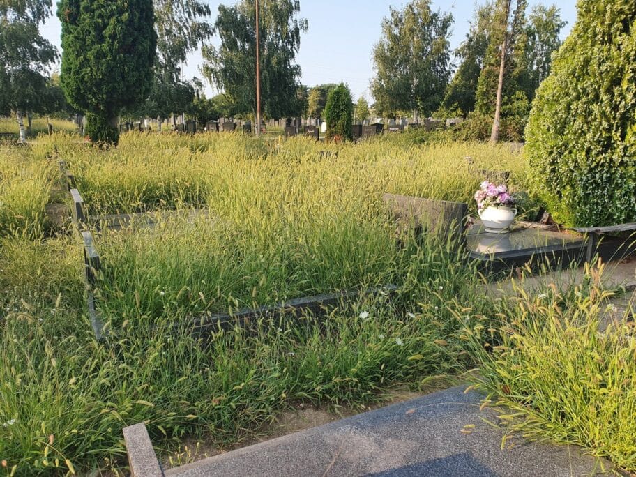 Trava groblje Prijavi problem