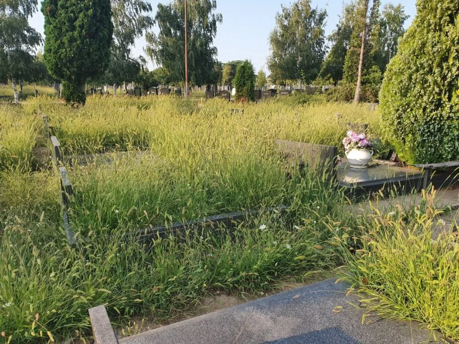 Trava groblje Prijavi problem