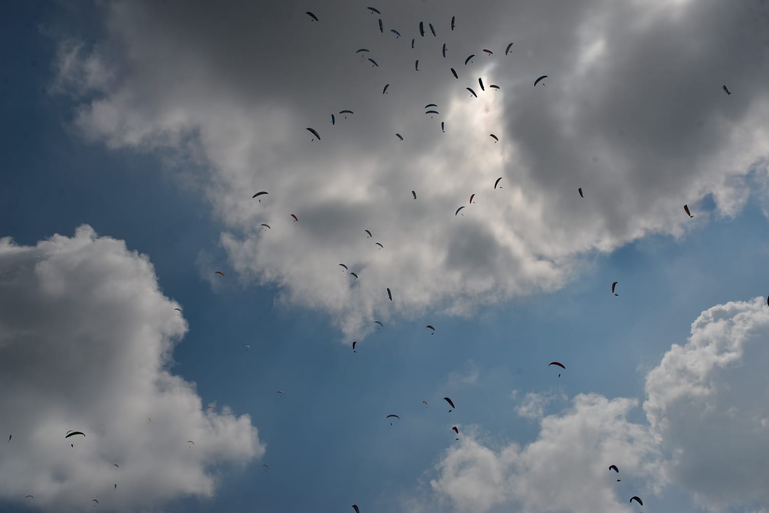 Paraglajderi Predevropsko prvenstvo 23 foto Južne vesti Vanja Keser