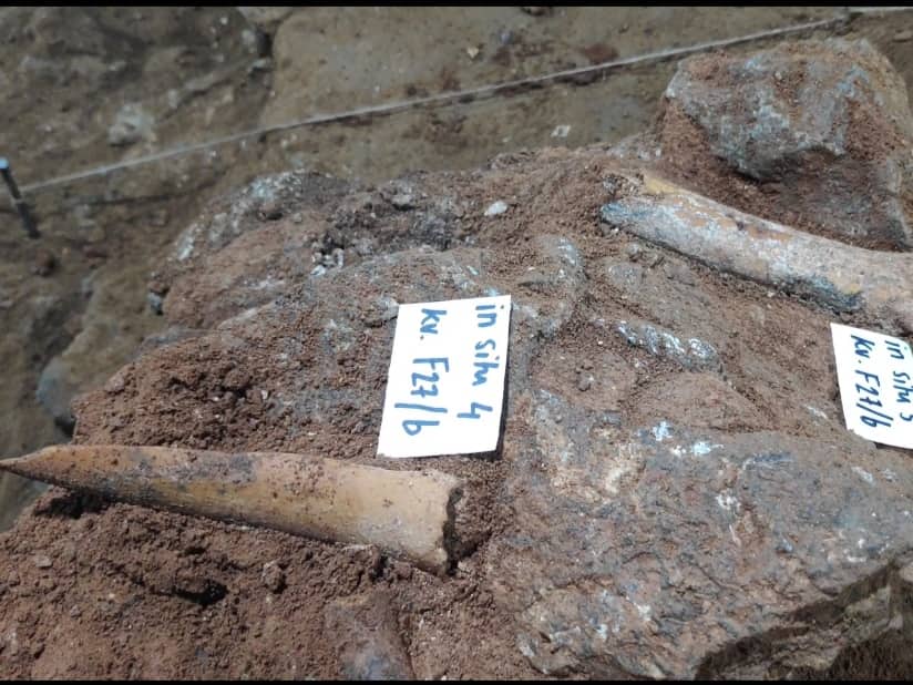 Arheoloski predmeti foto V M R