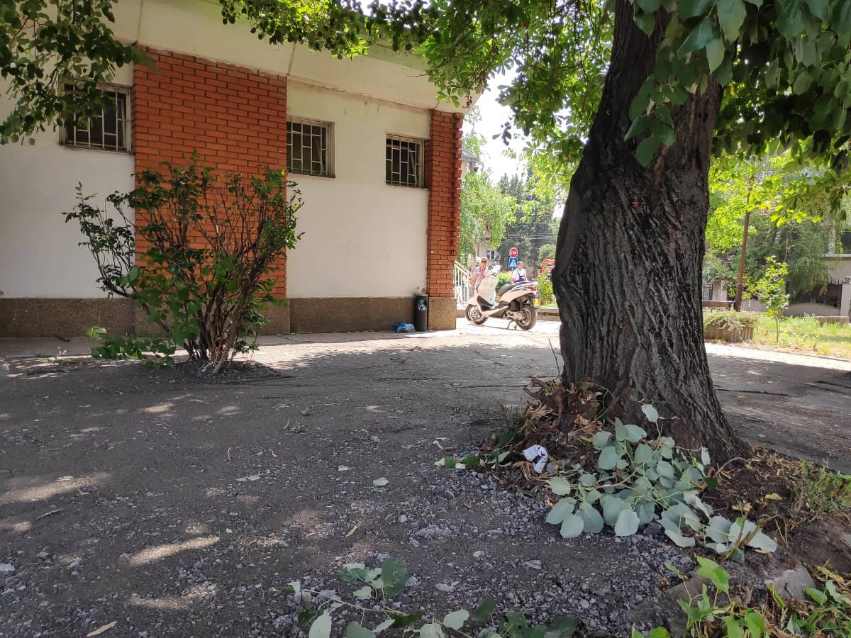 "Asfaltirano" zelenilo ispred policijske stanice u Panteleju 1 parking policija foto S M