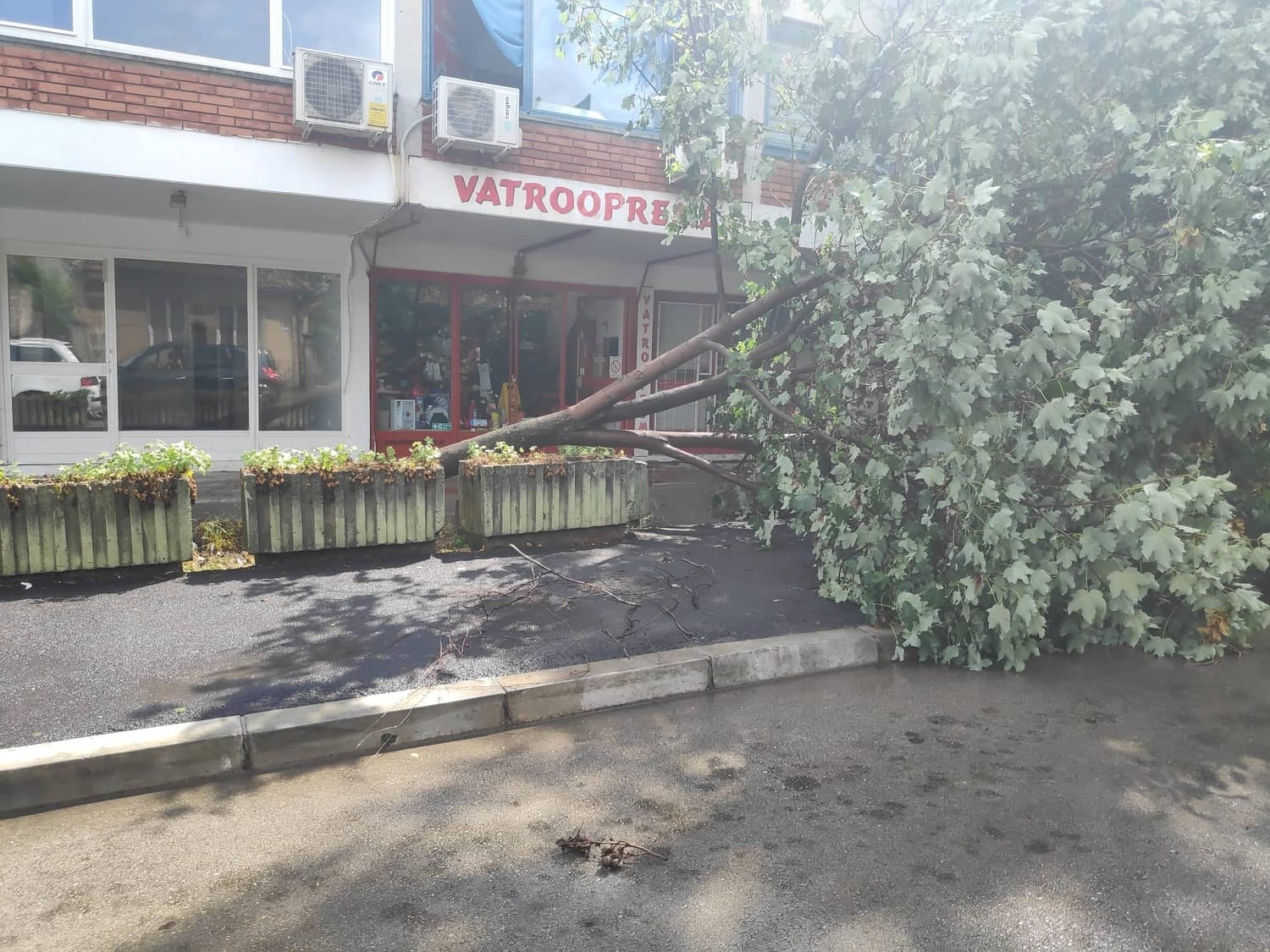 Aleksinac nevreme 2 foto G B