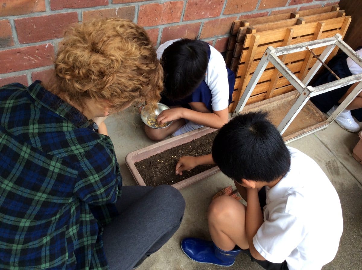 Paprika u Japanu8; foto: J. M