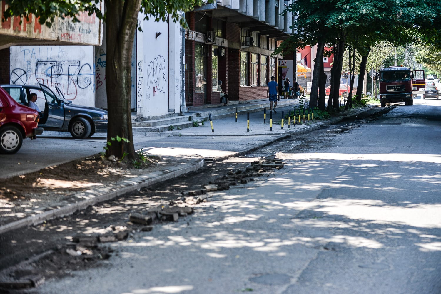 stanoja-bunusevca-radovi2-foto-vk