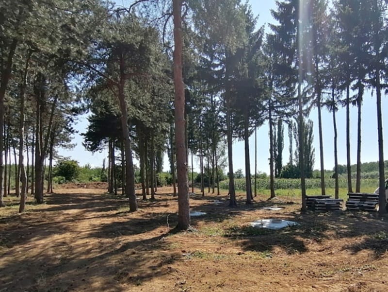 Avantura park Leskovac foto Grad Leskovac