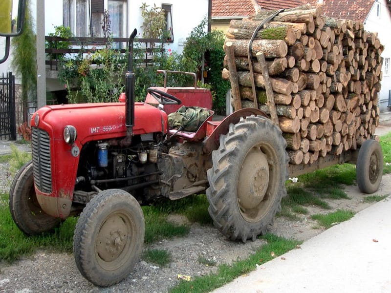 Učestale krađe šume na teritoriji Toplice i Merošine 1 drva 1