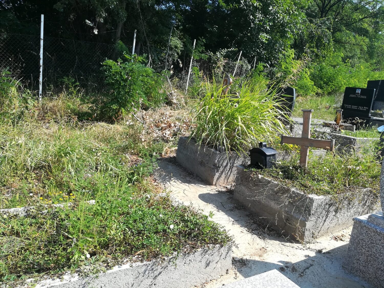 IMG 20190817 103420 scaled