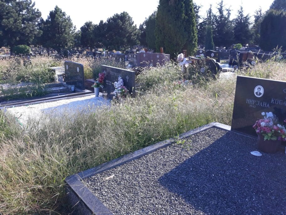 Veliki broj pritužbi ombudsmanu u Nišu zbog buke i dima iz ugostiteljskih objekata 3 20190819 170511 scaled