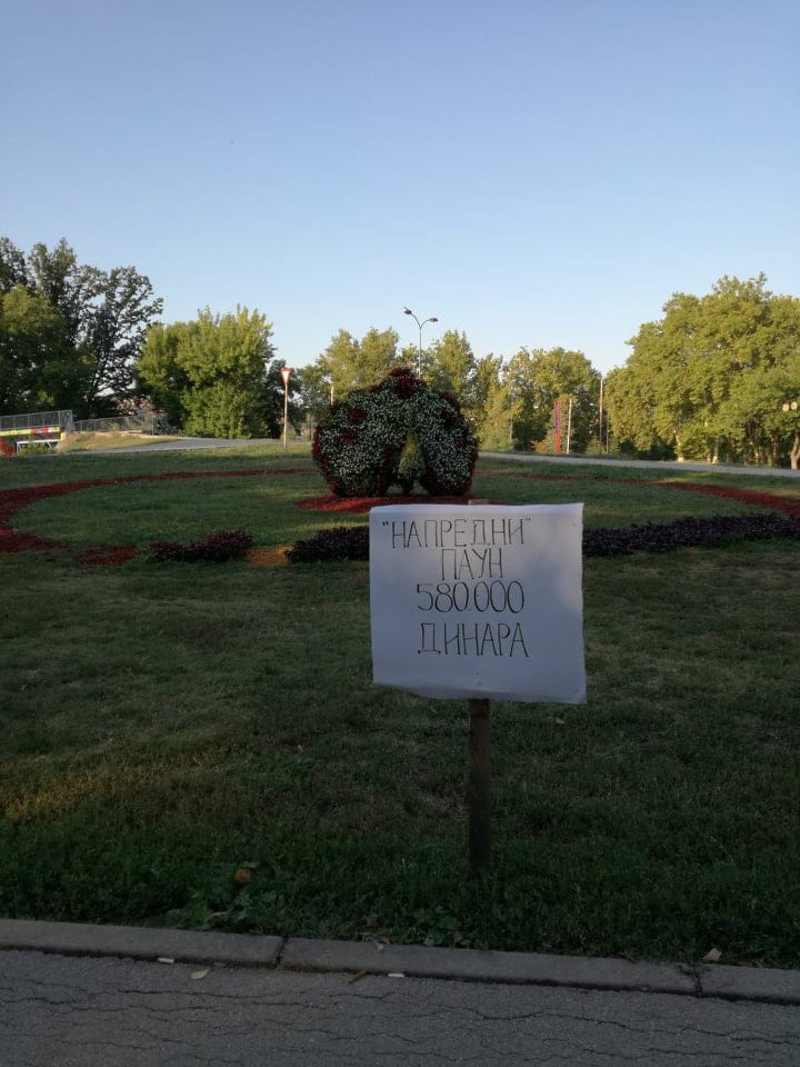 paun napredni fotossp