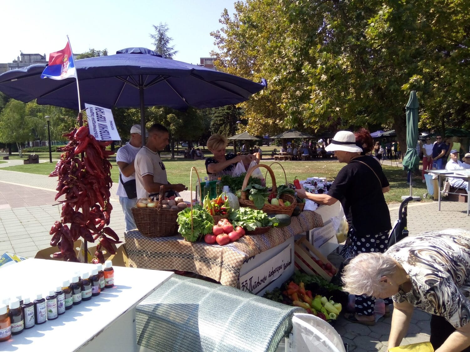 Mini Olimpijada treceg doba Nis 2019 foto Opstina Medijana scaled