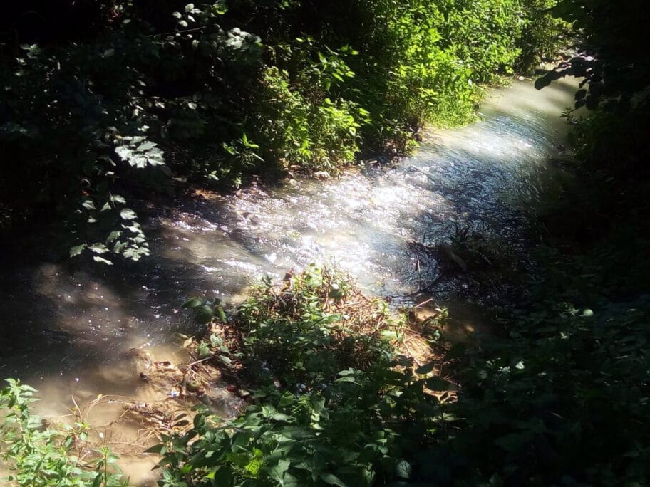 matejevacka reka foto citalac