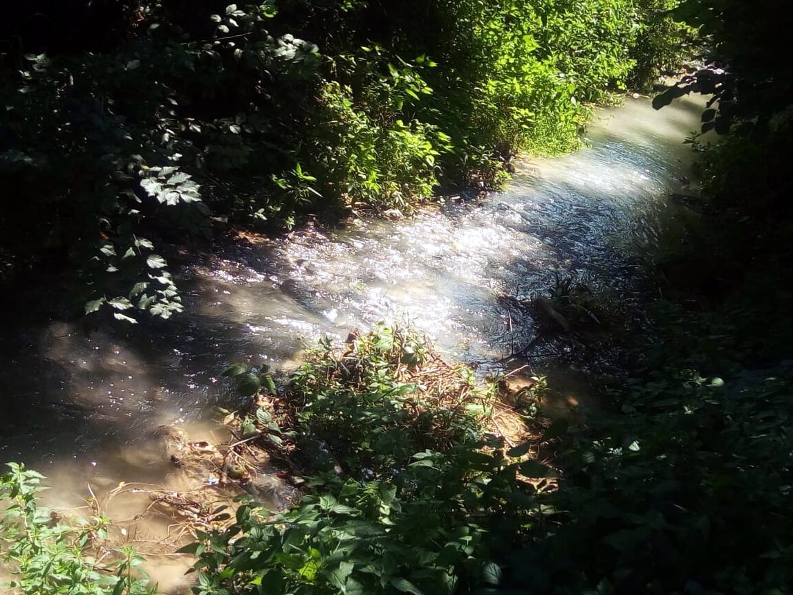 “Pobelela” Matejevačka reka koja protiče kroz Niš 1 matejevacka reka foto citalac