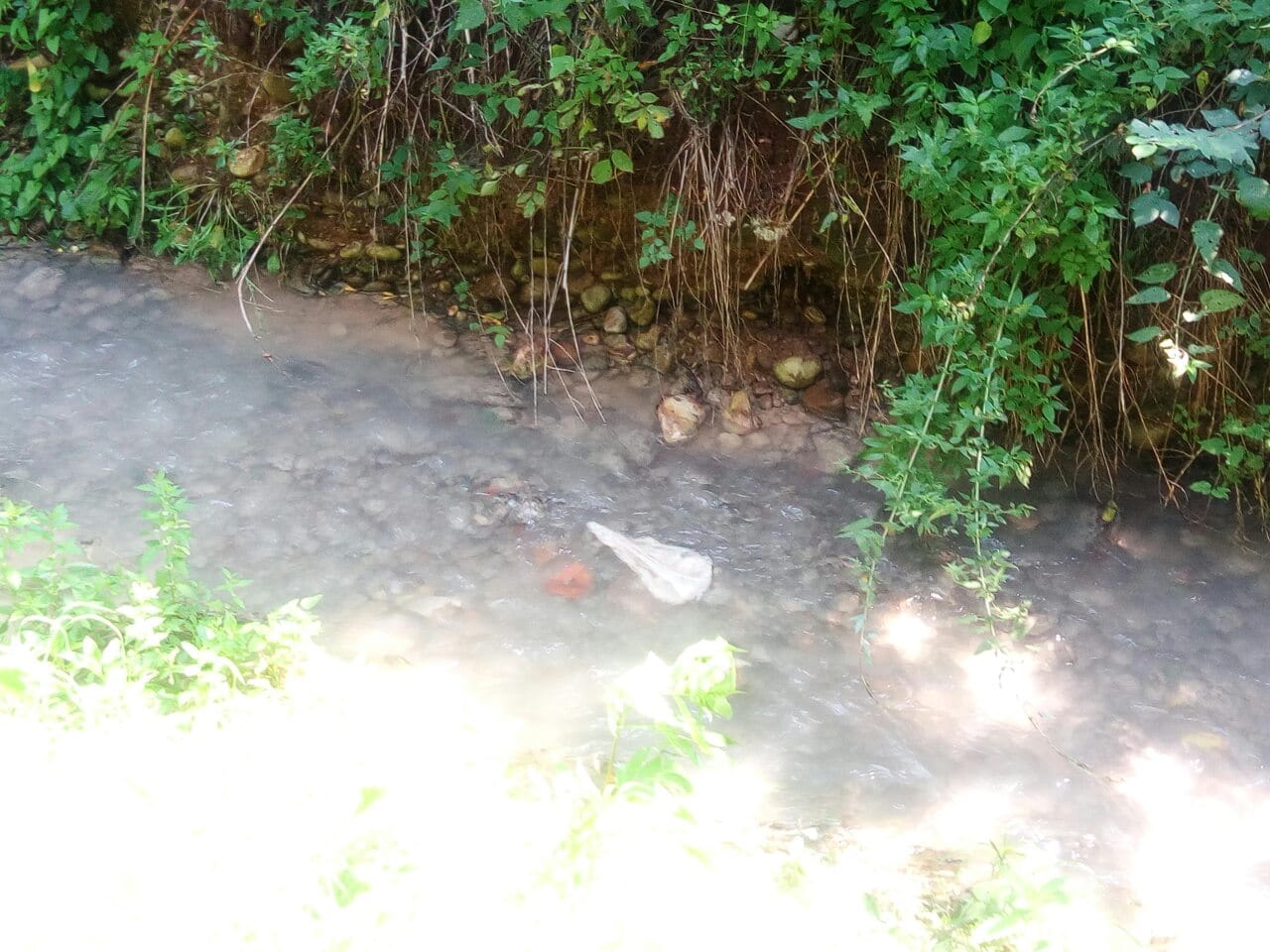 matejevacka reka foto 2 citalac