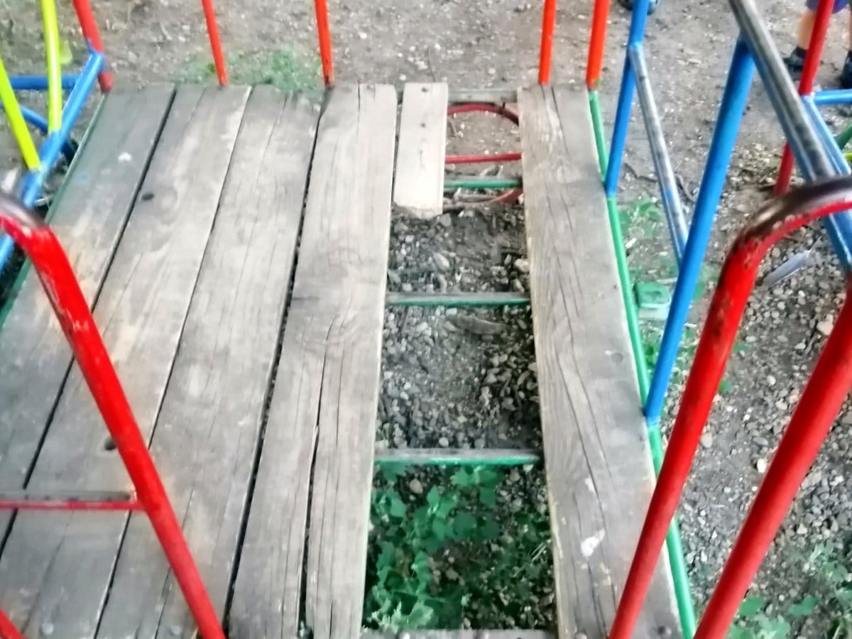 Zvoncic dvoriste foto citalac