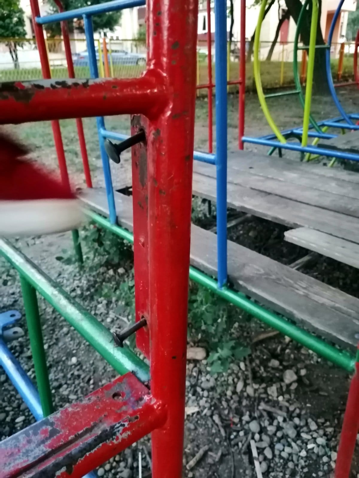 Zvoncic dvoriste1; foto: citalac