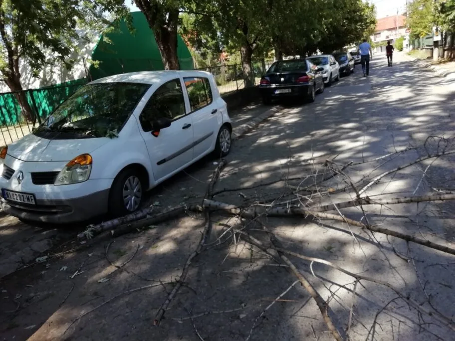 Grana pala i oštetila auto kod škole “Čegar” u Nišu 14 grana foto T R