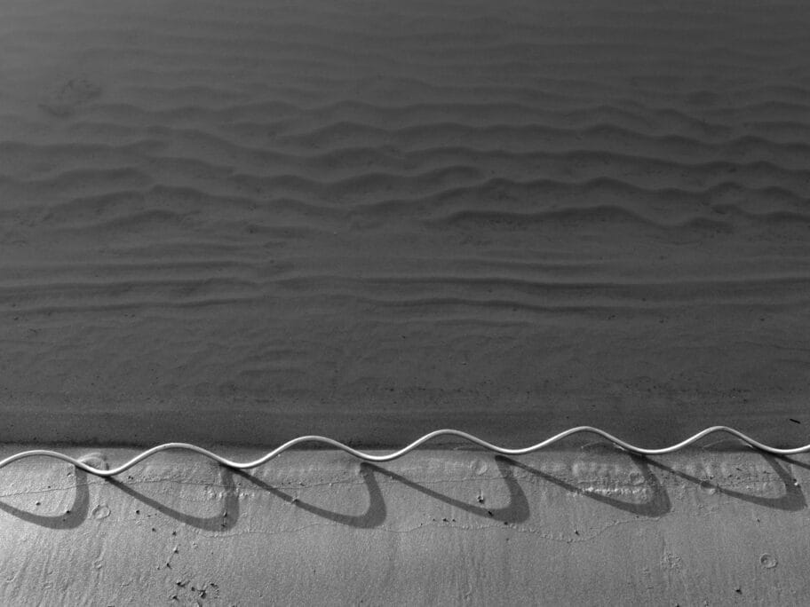 grafika visnja petrovic