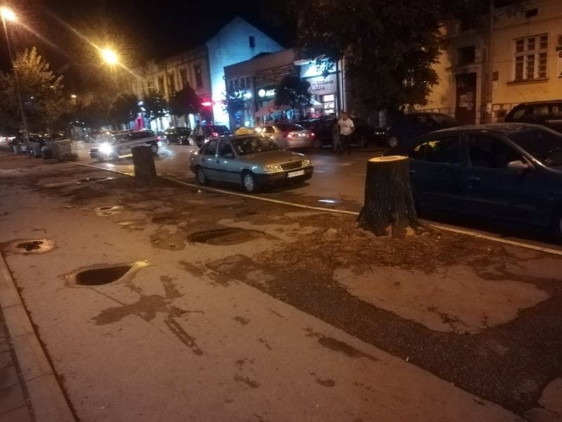 posecena stabla foto citalac