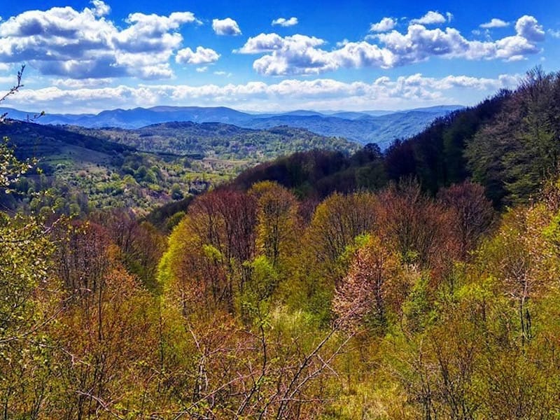Pogled ka dolini Pcinje