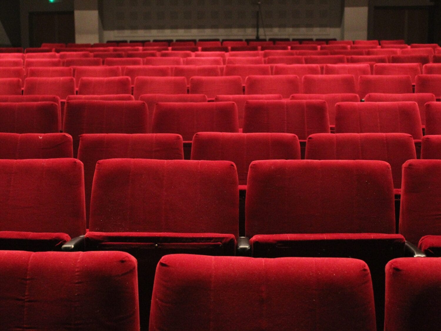 Sedista ilustracija foto Bojana Antic scaled