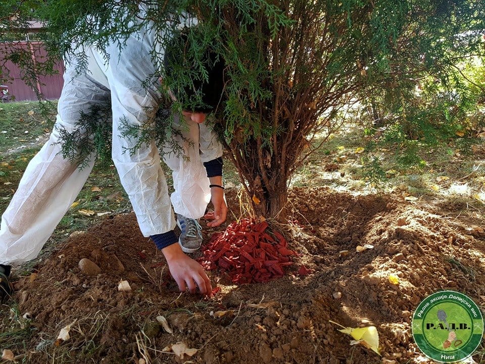 Akcija sadnje u naselju; foto: Radne akcije Delijski Vis Niš