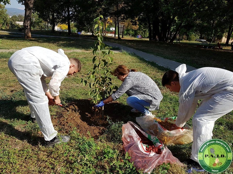 Akcija sadnje u naselju1; foto: Radne akcije Delijski Vis Niš