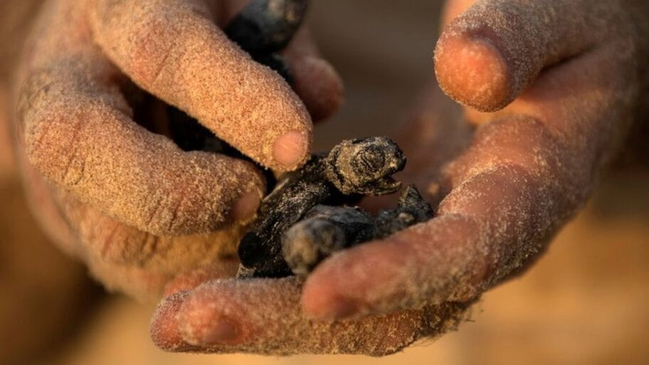 109001734 b1721834 c14b 4d54 bb64 58ee49930d72